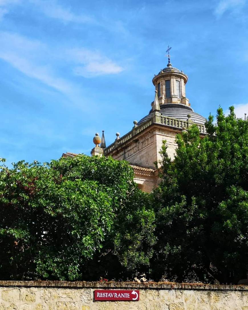 Place Ciudad Rodrigo