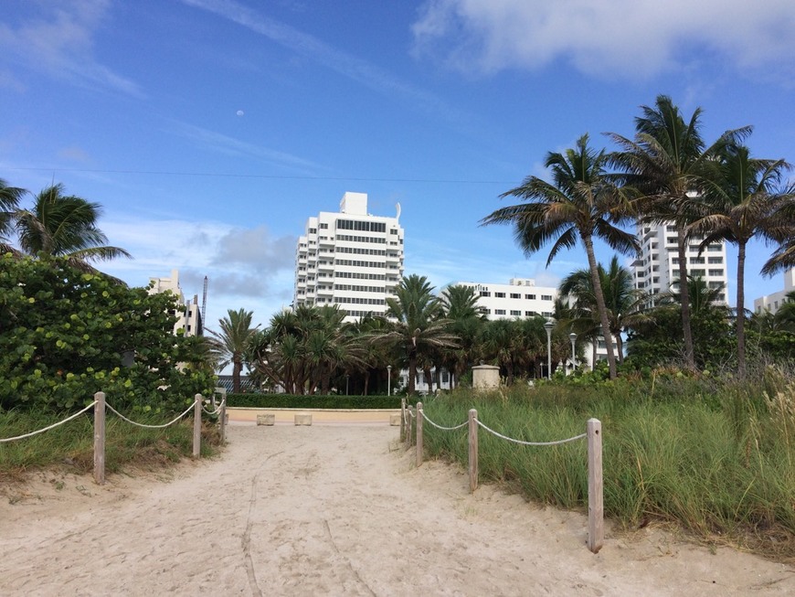 Place Miami Beach