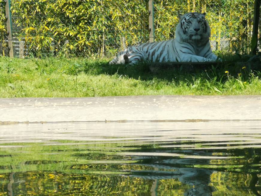 Lugar Jardim Zoológico