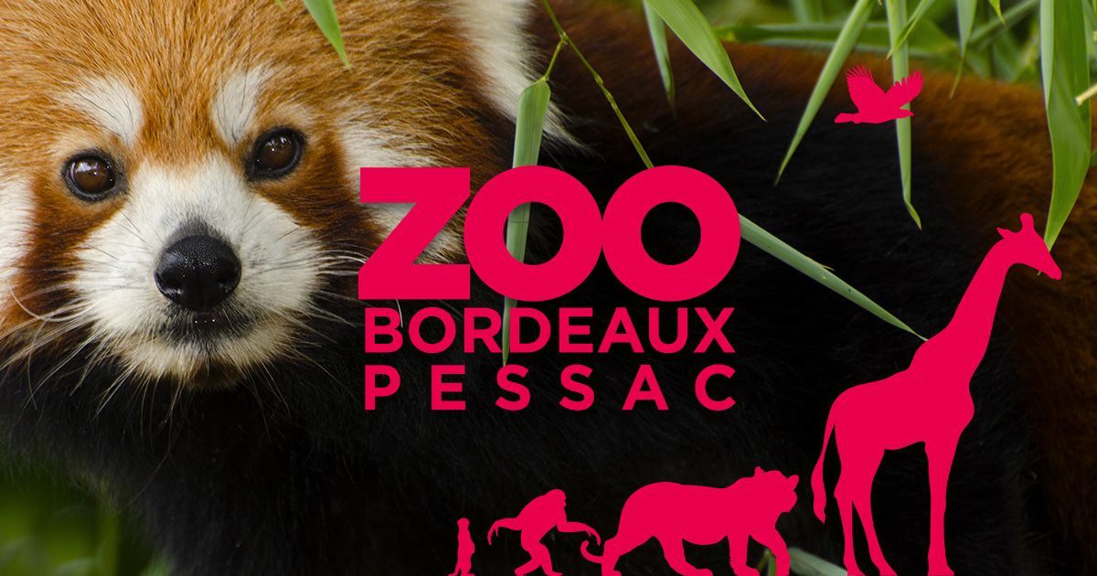 Lugar Zoo de Bordeaux Pessac