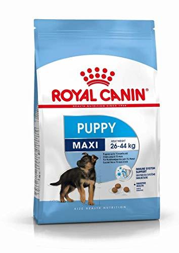 Producto Royal Canin Alimento para Perros Maxi Puppy- 15 kg