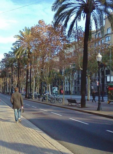 Avenida Diagonal