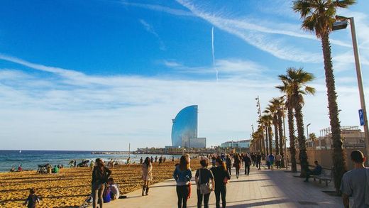 La Barceloneta