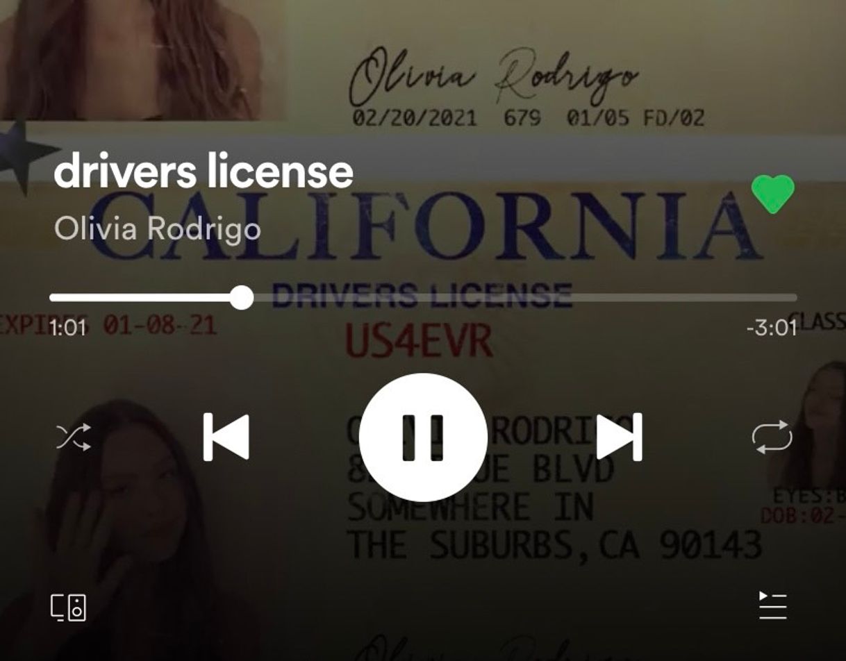 Music drivers license