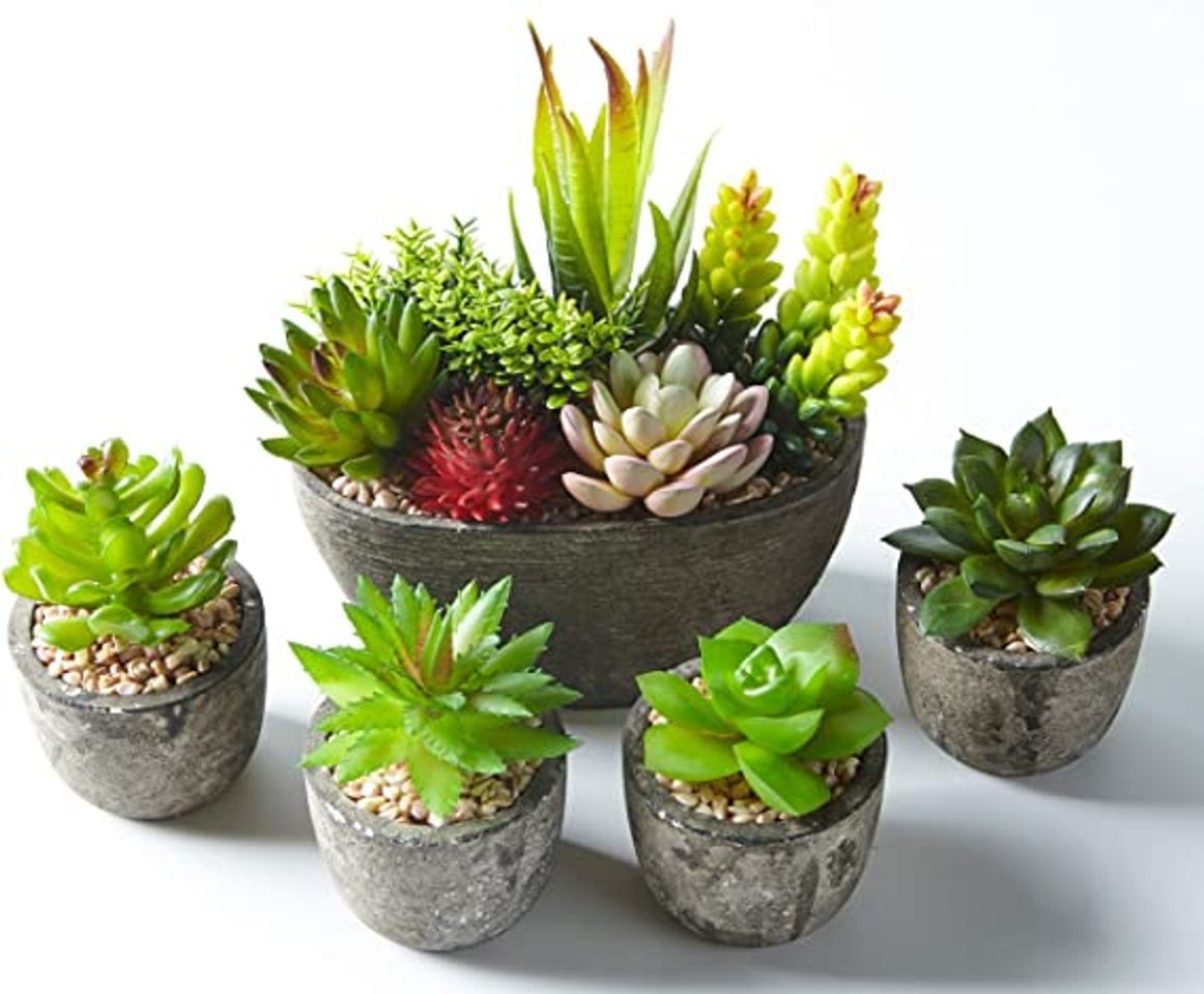 Social Jobary 5pcs Plantas Suculentas Artificiales Falso Plantas Decorativas Suculentas，Ideal para el Hogar