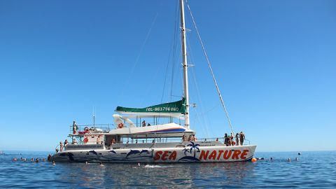 VMT Madeira - Catamaran Trips