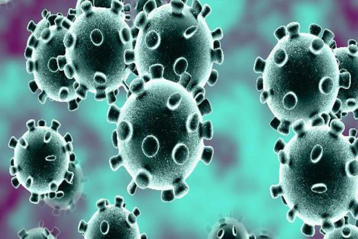 Pernambucanos criam site boas notícias Coronavirus