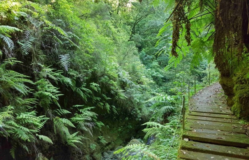 Lugar Levada Fajã do Rodrigues 