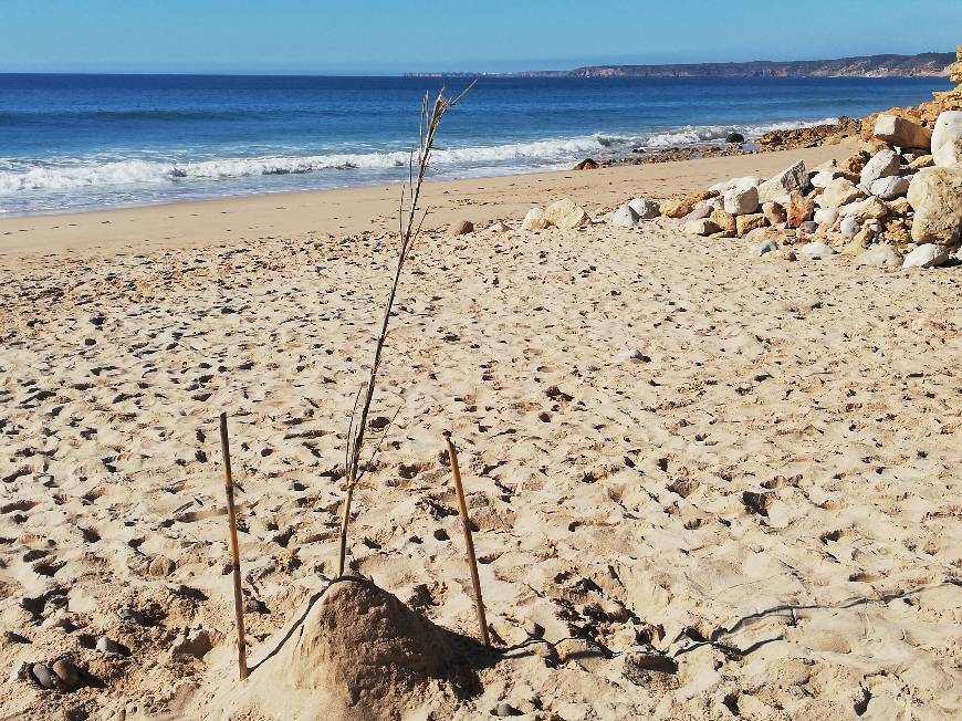 Lugar Praia das Cabanas Velhas