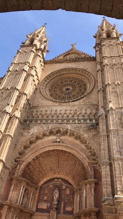 Lugar Catedral-Basílica de Santa María de Mallorca