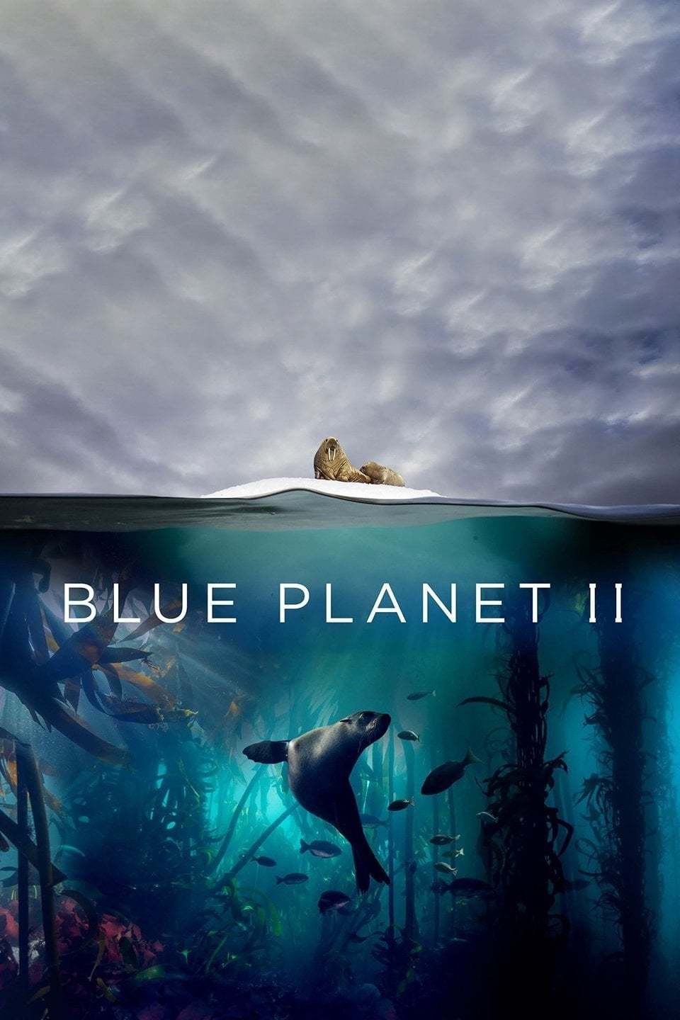 Película Blue Planet II: One Ocean & The Deep