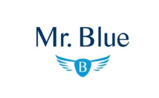 Mr Blue 