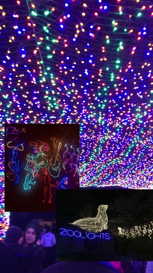 Fashion ZooLights: Nov 29 - Jan 5 | Oregon Zoo