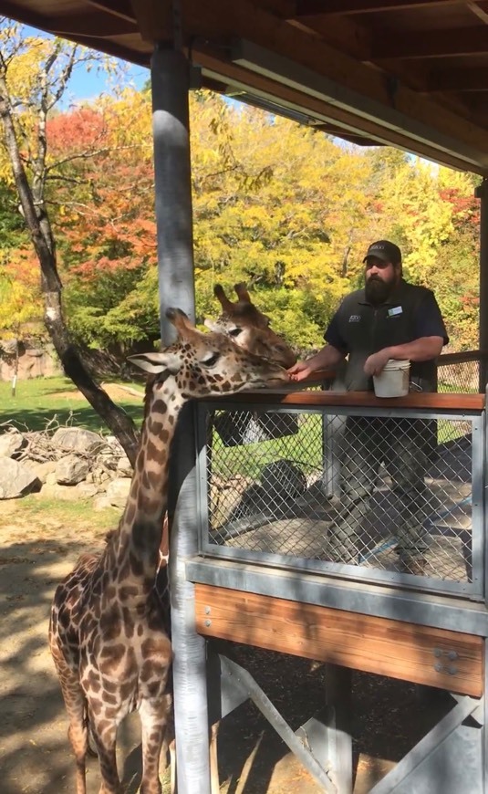 Place Oregon Zoo