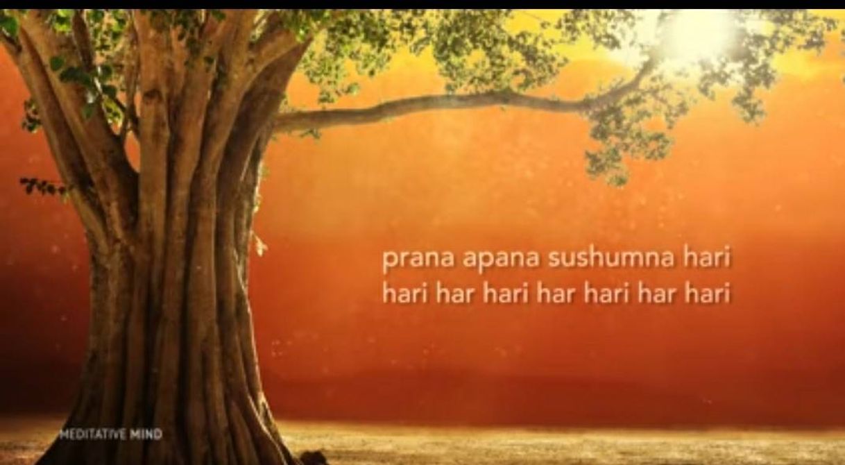 Music MAGICAL HEALING MANTRA Prana Apana Sushumna Hari ...