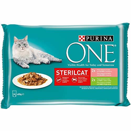 Lugar Purina ONE comida húmeda para gato esterilizados filetes en salsa con variedad de