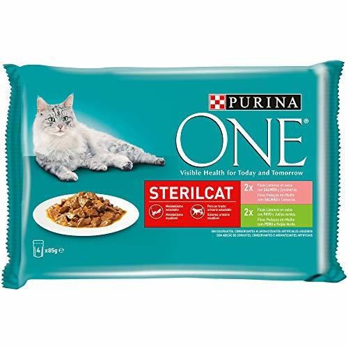 Purina ONE comida húmeda para gato esterilizados filetes en salsa con variedad de