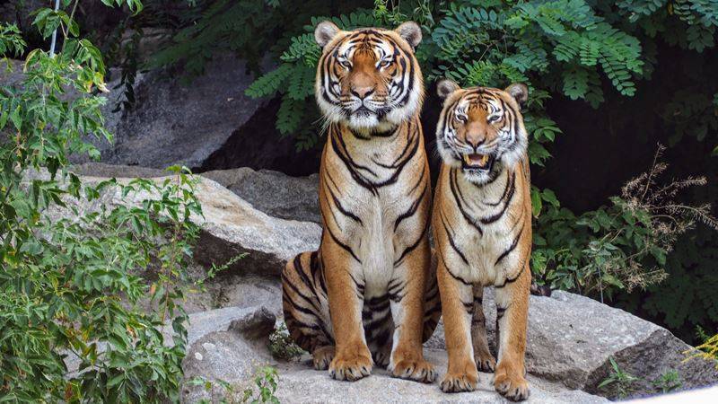 Lugar Jardim Zoológico de Lisboa