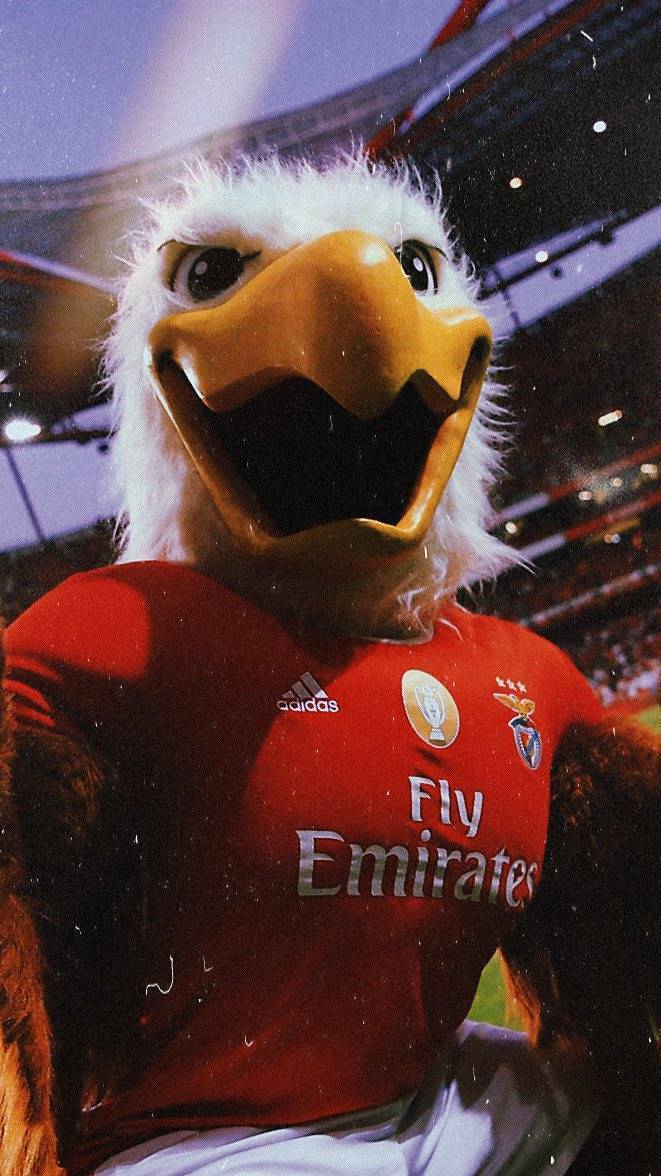 Social Benfica Wallpaper by jaa95 on DeviantArt