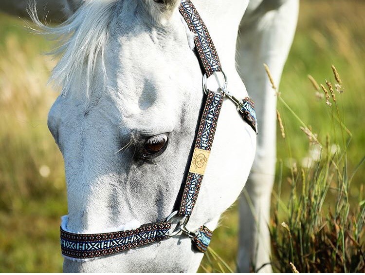 Product Handmade Horse Halter