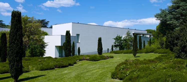 Lugar Museu de Serralves