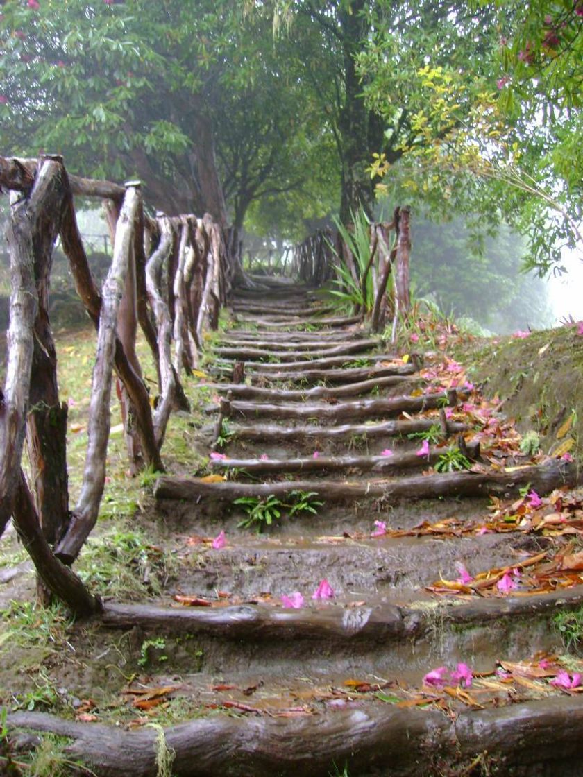 Lugares Caminho do Pico das Pedras