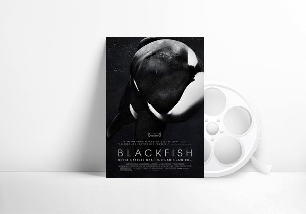 Movie Black Fish