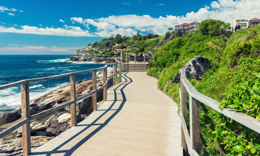 Place Bondi to Coogee Walk