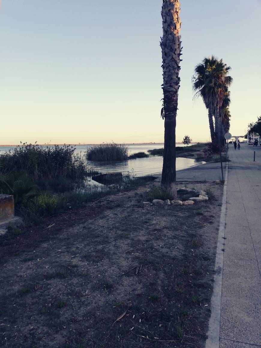 Place Passeio Pedonal Ribeirinho de Alhandra