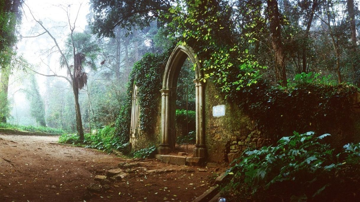 Lugar Jardins da Quinta das Lágrimas