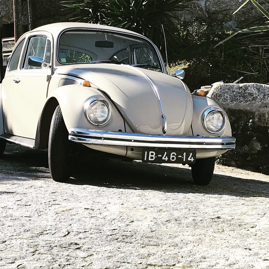 Moda 2019 VW Beetle - The Iconic Bug | Volkswagen