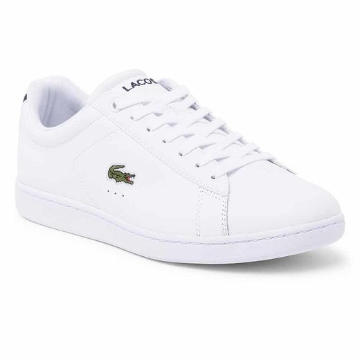 Lacoste Canarby Evo