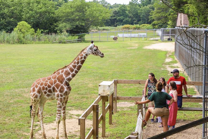 Places Cape May County Park & Zoo