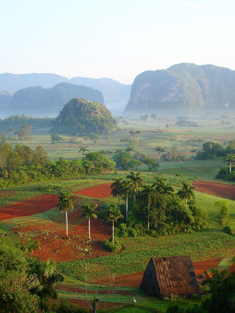 Place Viñales