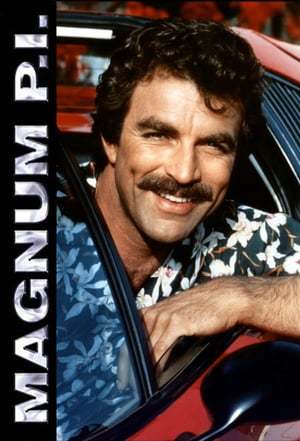 Serie Magnum