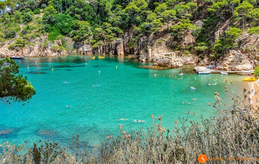 Lugar Playas de Begur