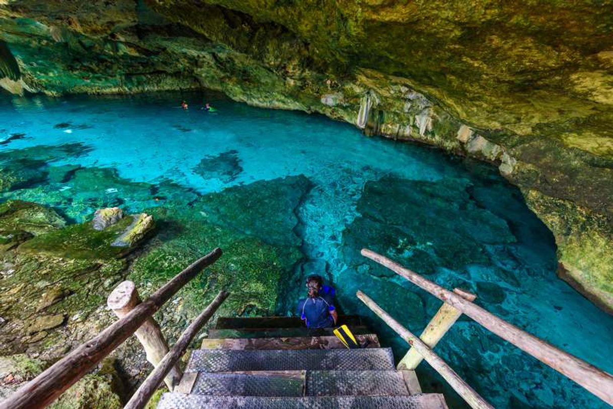 Place Cenote Dos Ojos