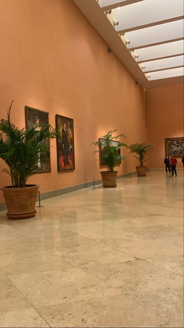 Place Museo Nacional Thyssen-Bornemisza