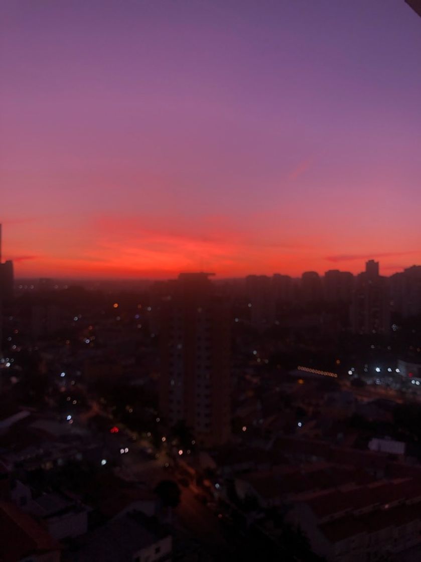 Restaurants São Paulo