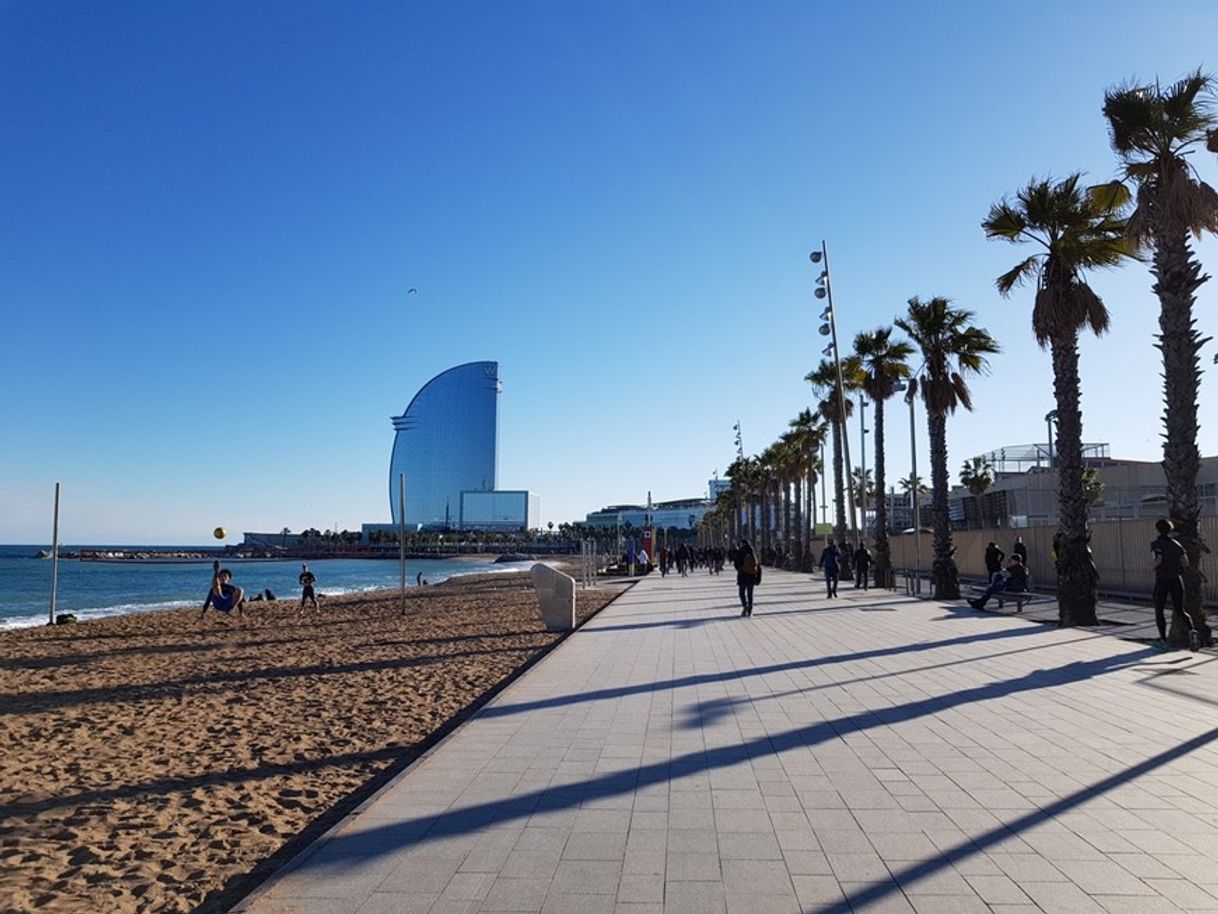 Lugar La Barceloneta