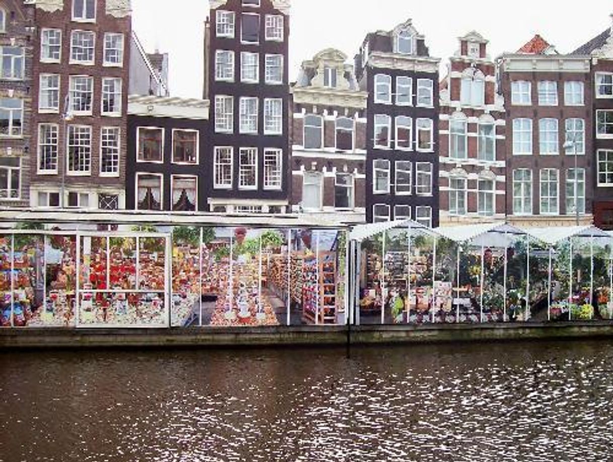 Place Bloemenmarkt