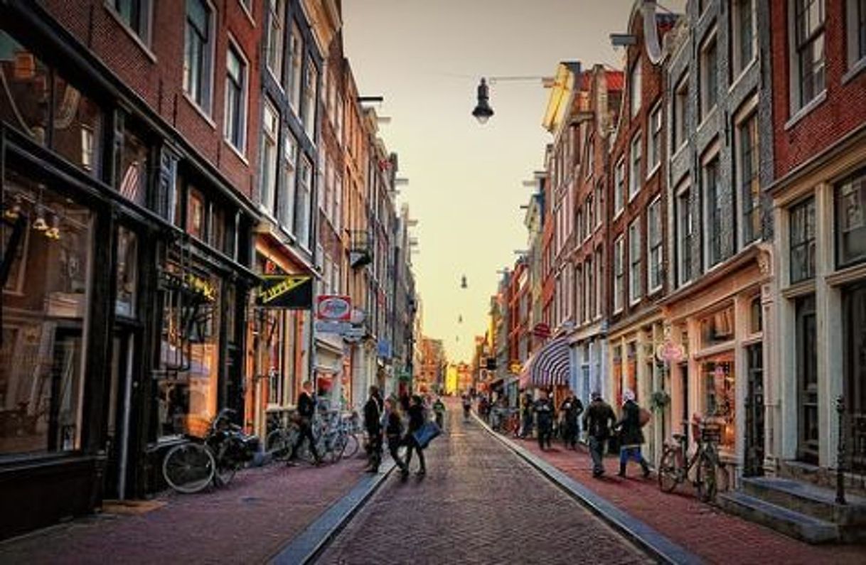 Place The 9 Streets