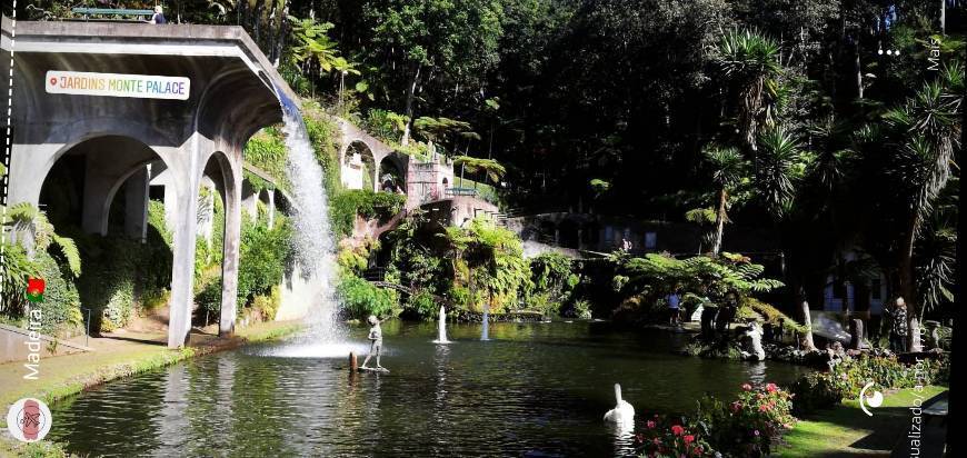 Lugar Jardim Tropical de Monte