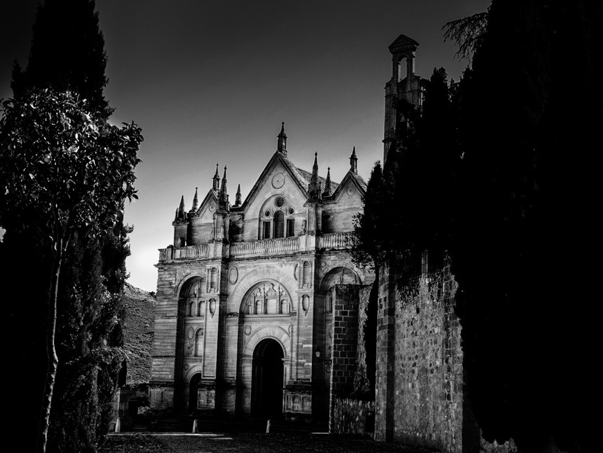 Place Real Colegiata de Santa María la Mayor