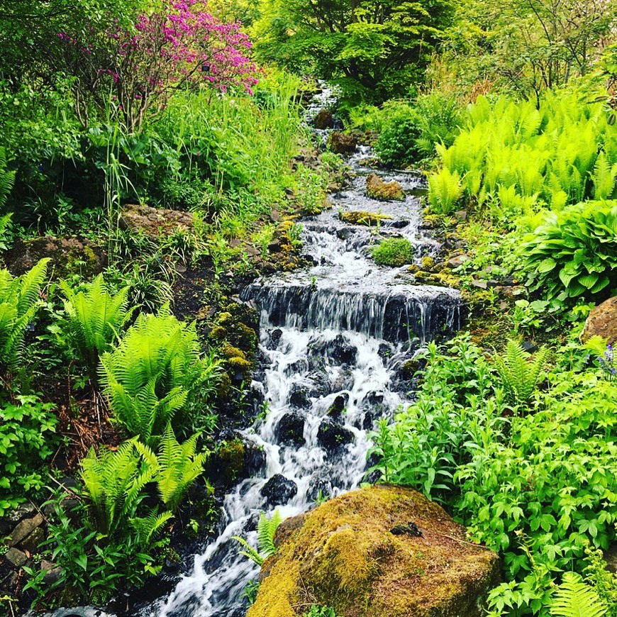 Lugar Real Jardín Botánico de Edimburgo