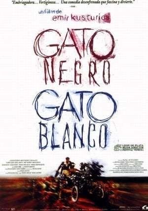 Movie Gato negro, gato blanco