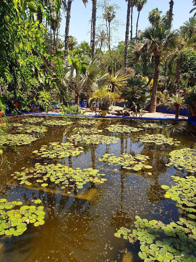 Place Jardín Majorelle