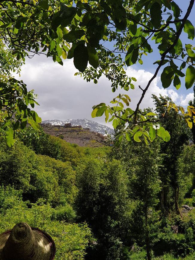 Place Mount Toubkal