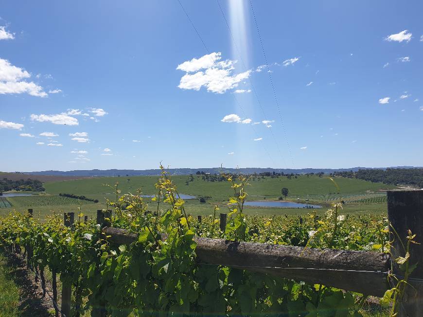 Lugar Yarra Valley