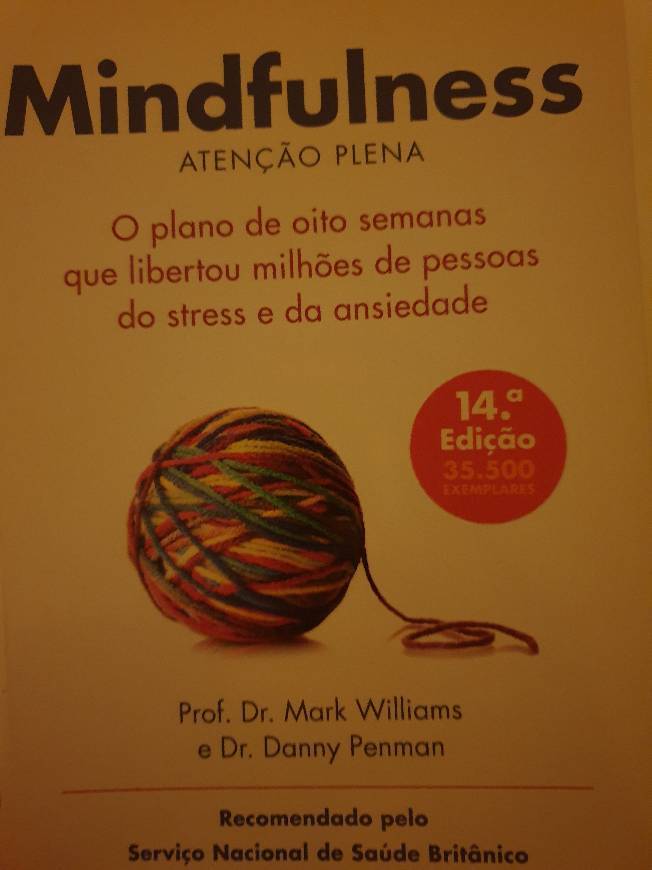 Book Mindfulness. Guía práctica